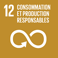 SDG_E_Individual Icons